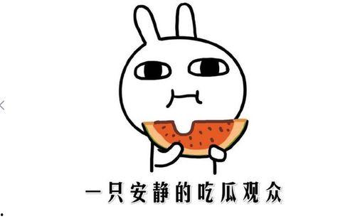 今天吃瓜事件,娱乐圈最新热点事件深度解析