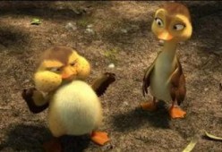 鸭子国产视频,鸭子的趣味生活大揭秘