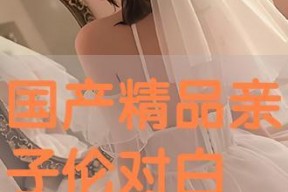 国产对白视频,展现中国故事魅力